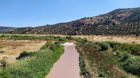 Río Guadalimar, Linares