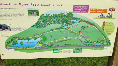 Ryton Pools Country Park, 