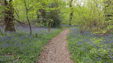 Tocil Wood and Nature Reserve, 