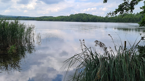 Озеро Кляйнер Цеш, Цоссен