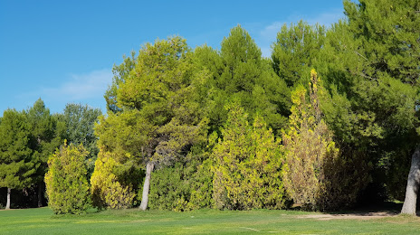 Pulgosa Park (Parque de la Pulgosa), Albacete