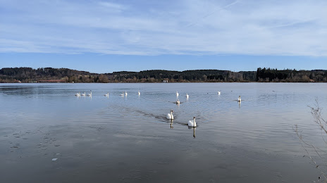 Озеро Франкенхофнер, Бад-Вёрисхофен