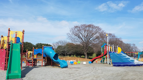 Saiko Dōman Green Park, 