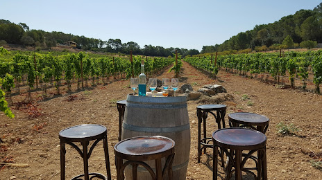 Mallorca Wine Tours, 