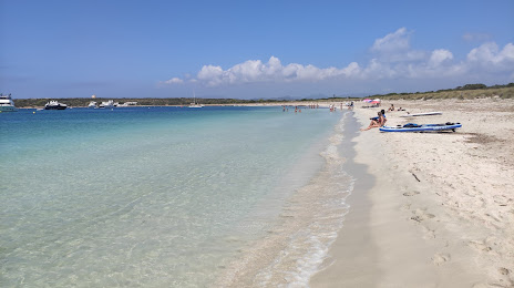 Playa de S'Alga, Ibiza