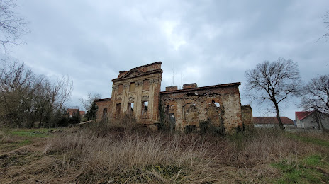 Ruina pałacu w Siedlcach, Любин