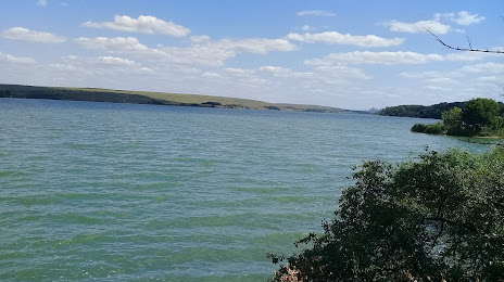 Vil'Khivs'Ke Reservoir, Ζούχρες
