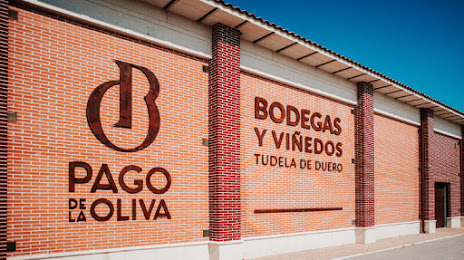 Pago de la Oliva - Bodegas y Viñedos, Valladolid