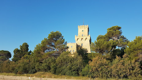 Torre del Cerrano Marine Protected Area, Silvi