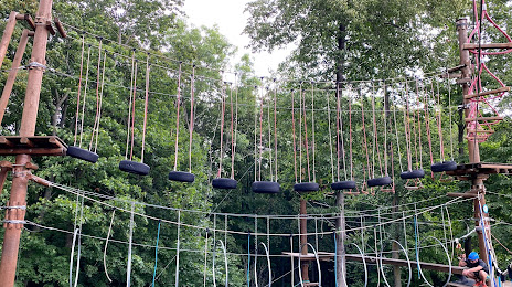 Climbing Park / high ropes course antics, 