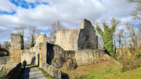 Schloss Nippenburg, 