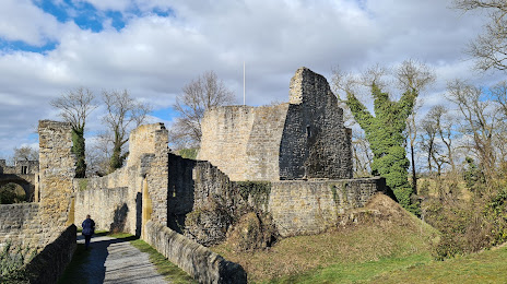 Burg Nippenburg, Vaihingen an der Enz