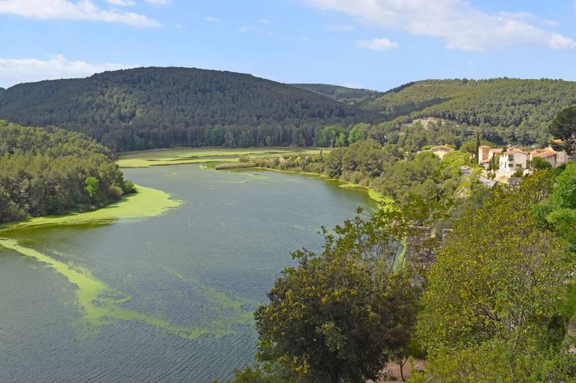 Río Foix, 