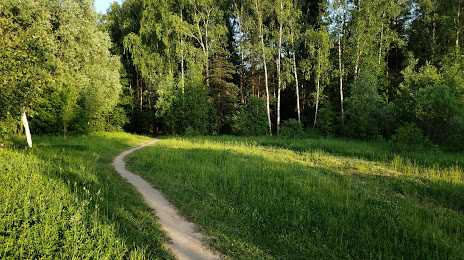 Saltykovsky Forest, Balashikha