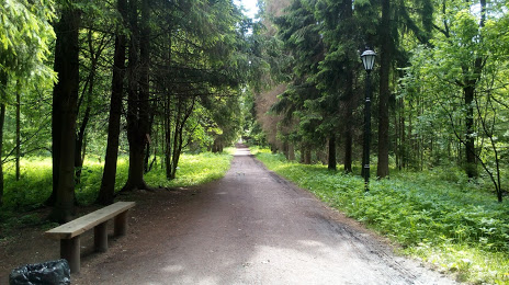 Park Silviya, Gátchina