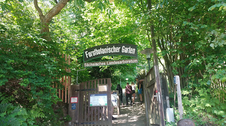 Forstbotanischer Garten Tharandt/ Sächsisches Landesarboretum, Freital