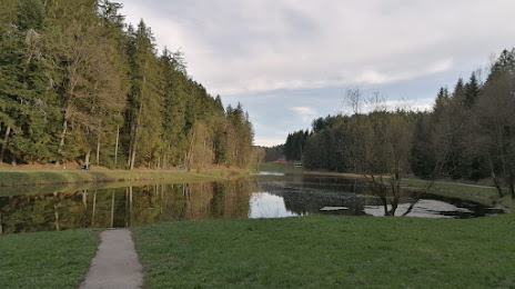 Welzheim Forest, 