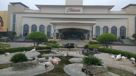 Caliente Casino, Tijuana