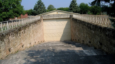 Μακεδονικός Τάφος των Ανθεμίων, Νάουσα