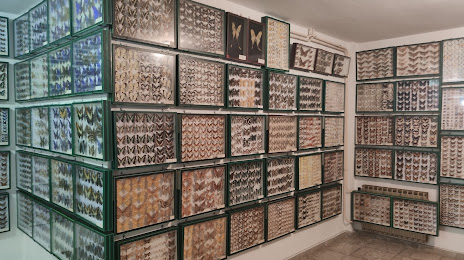 Εντομολογικό Μουσείο Βόλου, Βόλος