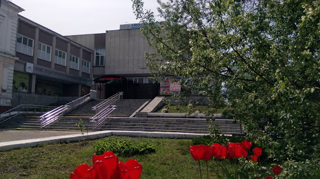 Omskij gosudarstvennyj istoriko - kraevedcheskij muzej, Omszk
