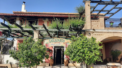 Callinico Winery museum, 
