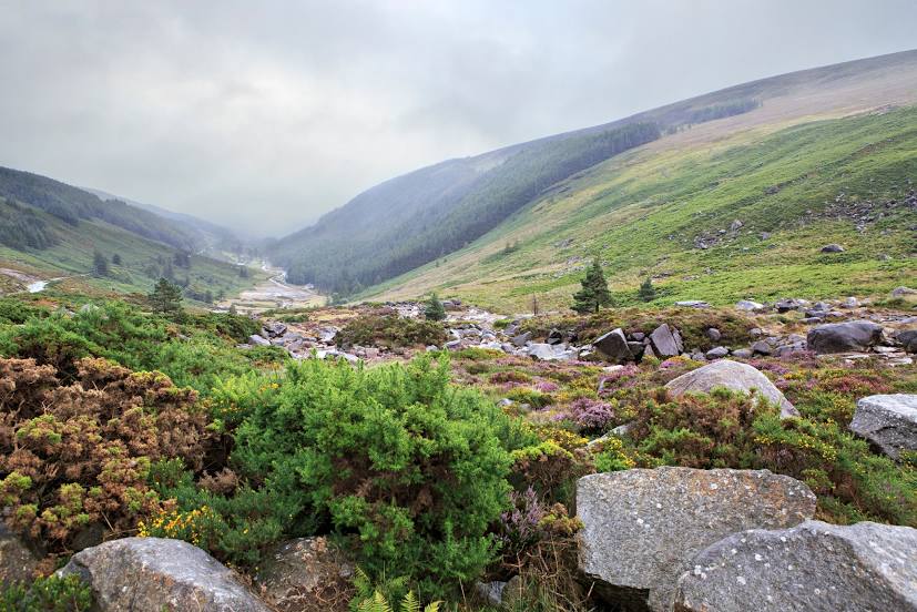 Wicklow Mountains National Park, Dundrum