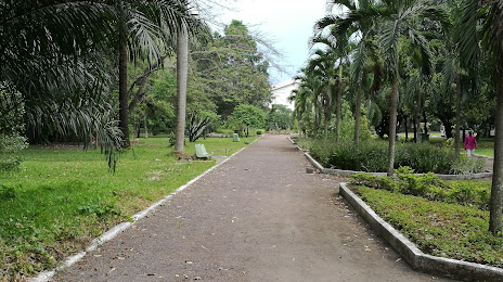 Botanical Gardens, Kinşasa