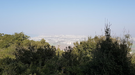 Grove of the Forty (HaArba'im), Χάιφα