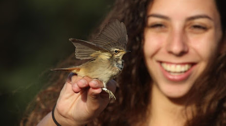 International Birding and Research Center Eilat, 