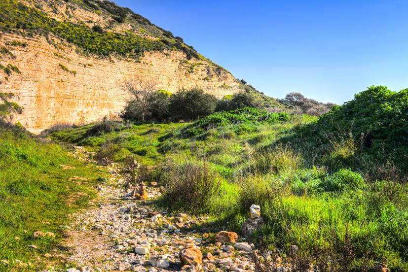 Valley of Elah (Terebinths), Bet Shemesh