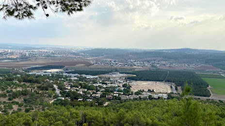 Tzora forest, Bet Shemesh