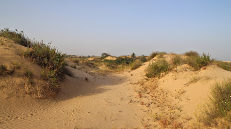 Ashdod Sand Dune, Gan Yavne