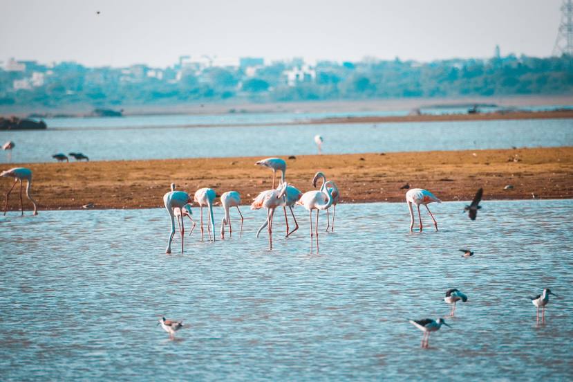 Himayat Sagar Lake, 