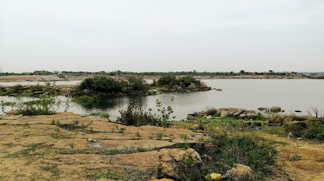 Shamirpet Lake, 