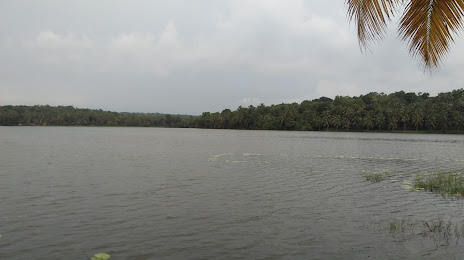 Vellayani Lake, Thiruvananthapuram