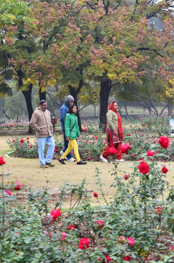 Zakir Hussain Rose Garden (Chandigarh), Τσαντιγκάρ