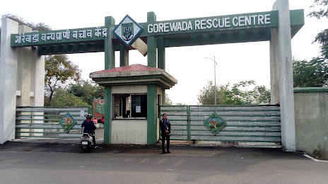 Gorewada Zoo And Wildlife Rescue Center, Nagpur