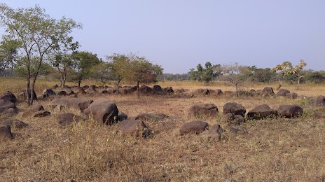 Junapani Stone Circles, 