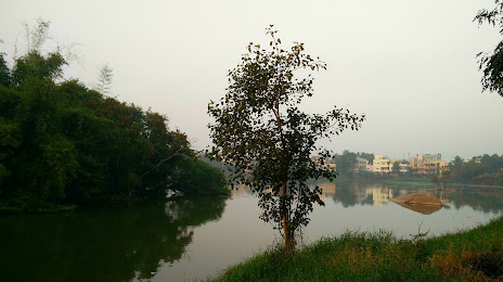 Safilguda Lake, 