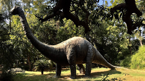 Dinosaur And Fossil Park Gandhinagar, 