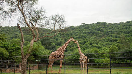 Indira Gandhi Zoological Park, Βιζαχαπατνάμ