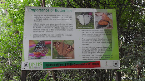 Butterfly Park, Asola Bhatti Wildlife Sanctuary, Φαριντάμπαντ
