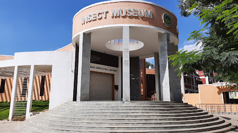 Insect Museum, TNAU, 