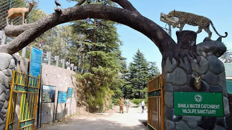 Shimla Water Catchment Wildlife Sanctuary, Σίμλα