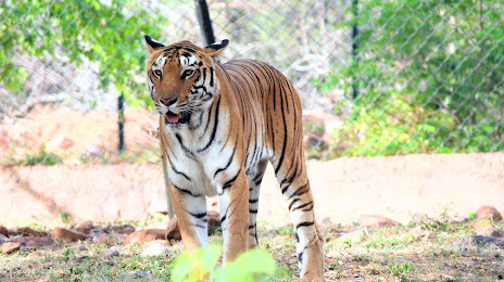 Sri Venkateswara Zoological Park, Tirupati
