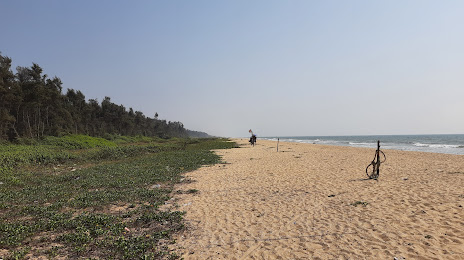 Tannirbhavi Beach, 