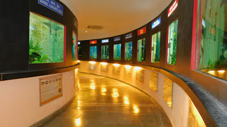 Ganga Aquarium, 