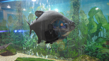 Jawahar Aquarium, 