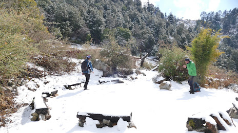 Jabarkhet Nature Reserve, Mussorie, 